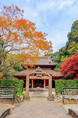 秋の多久聖廟　佐賀県多久市　Autumn Taku Seibyo Saga-ken Taku city