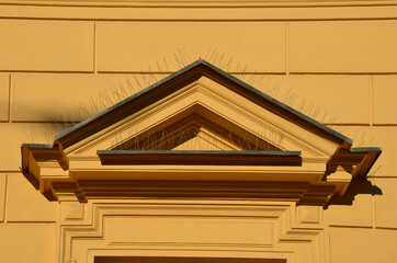 protection of urban buildings and dogs through the feces of pigeons. Damage to the windows of...