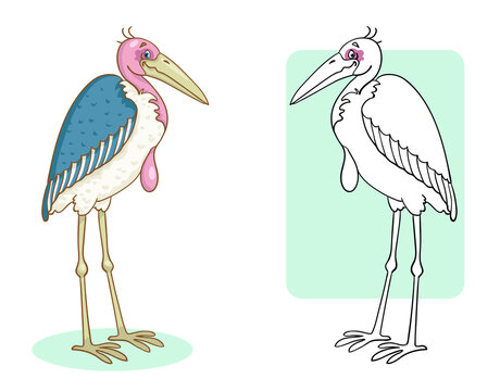Funny marabou bird. Coloring page with colorful example. In cartoon style. Vector illustration. For coloring book.