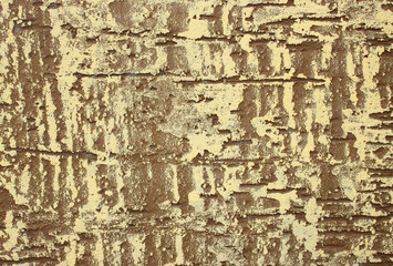 The wall is shabby, rough, painted with yellow paint. Stylish yellow and gold background. Background for business card, scrapbooking