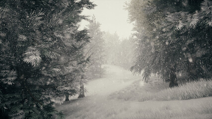 Winter snowfall in the forest, gentle lovely snowy Christmas morning with falling snow. Winter...
