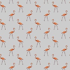 Image of a full-length pink flamingo. Animalistic digital sketch. Animal drawn by hand on a white background