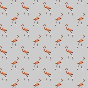 Image of a full-length pink flamingo. Animalistic digital sketch. Animal drawn by hand on a white background