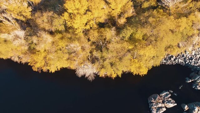 Overhead Aerial View of Dniper river in Zaporozhye , Ukraine. The deep dark water river and forest foliage in autumn