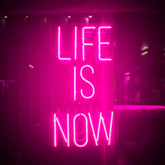 Pink Neon Sign About Life. Urban City Light Window With Bright Signboard Isolated. Life Is Now...