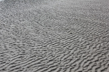 Structures in the sand in back-lighting