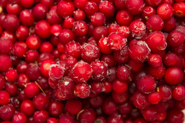 frozen food, frozen lingonberries. frozen lingonberries in a container. preservation of vitamins