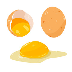 Egg yolk isolated on white vector illustration. Farm product, culinary  ingredient design element. Omega source in cartoon style.