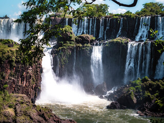 Naklejka premium waterfall in the forest iguazu falls 
