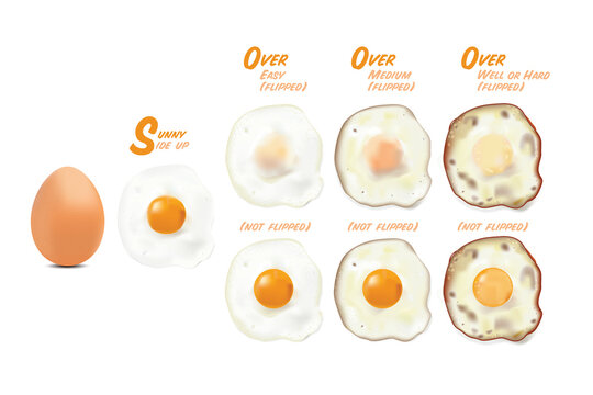 Sunny Side Up Egg Stock Illustrations – 569 Sunny Side Up Egg Stock  Illustrations, Vectors & Clipart - Dreamstime