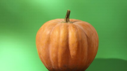 orange pumpkin spinning on color background