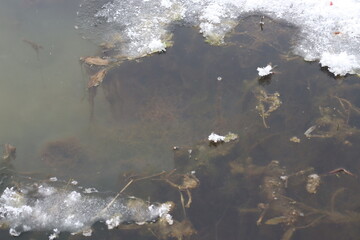 Frozen transparent stream