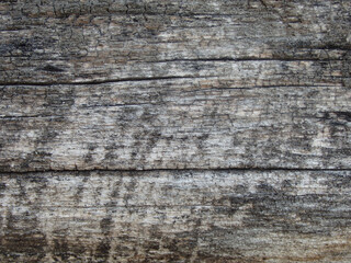 Old Weathered Wood Texture Natural Background.