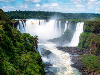 Fototapeta premium waterfall in the forest iguazu falls 