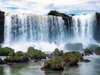 Fototapeta premium waterfall in the forest iguazu falls 