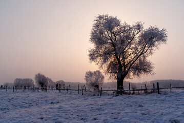   Mroźny zimowy dzień na Podlasiu, Polska
