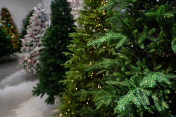Selection of artificial Christmas trees in the store