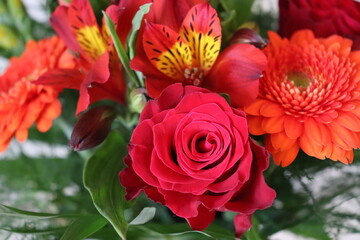 closeup of bouquet of red flowers
