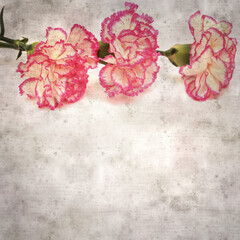 stylish textured old paper background with light cream carnation with pink edges
