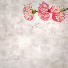 stylish textured old paper background with light cream carnation with pink edges