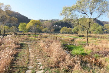 A park along the Jinju River