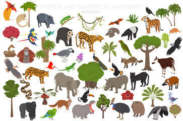 Obraz premium Tropical and subtropical rainforest biome, natural region infographic. Amazonian, African, asian, australian rainforests. Animals, birds and vegetations ecosystem 3d isometric design set