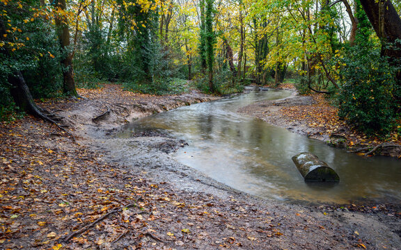 A stream called The Beck in Harvington Park, Beckenham, Kent, UK. The small river flows through woodland in the autumn with fallen leaves. Motion blur of the water. Image of England in the fall.