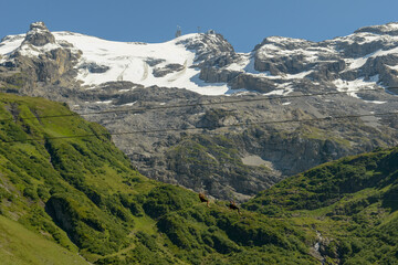 Mount Titlis above Engelberg in the Swiss Alps
