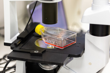 Experimental assessment of a red liquid inside test tube in microscope. Scientific optical...