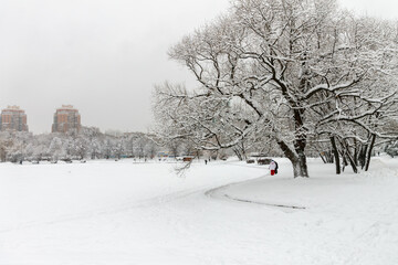 Naklejka premium Snow-covered Park. Heavy snow covered people, trees, streets, houses. Snow storm, Blizzard in the city. Huge snowdrifts lie on the road. White snow falls in the Park during the day. Winter landscape
