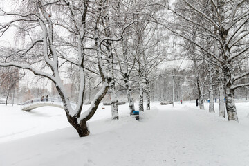 Snow-covered Park. Heavy snow covered people, trees, streets, houses. Snow storm, Blizzard in the city. Huge snowdrifts lie on the road. White snow falls in the Park during the day. Winter landscape