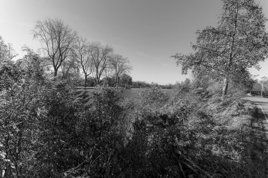 Black and white pictures of autumn landscapes