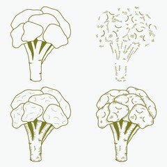Broccoli cabbage set. Graphics, green. Hand drawn vector illustration