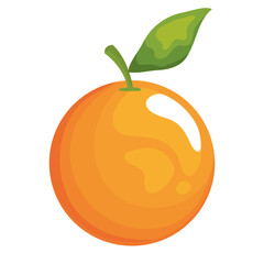 orange fruit design of healthy organic food theme Vector illustration