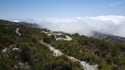 Hiking at the table Mountain national park