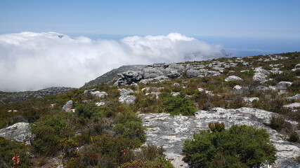 Clouds at the table Mountain national park