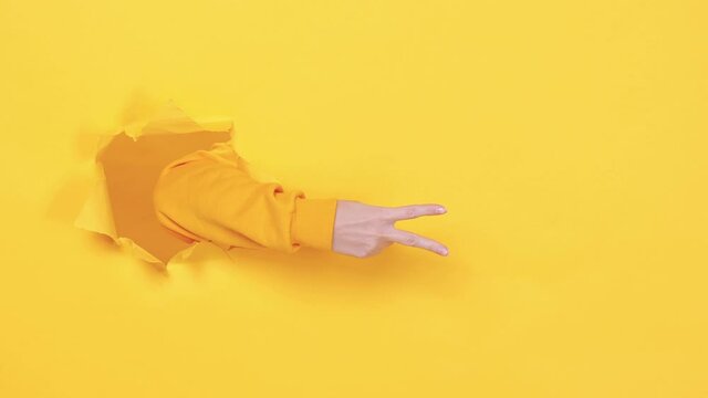 Woman hand arm showing fingers ordinal count from 1 to 5 thumb up like gesture isolated through torn yellow background studio. Copy space for advertisement With place text or image promotional content