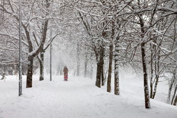 Snow-covered Park. Heavy snow covered people, trees, streets, houses. Snow storm, Blizzard in the city. Huge snowdrifts lie on the road. White snow falls in the Park during the day.