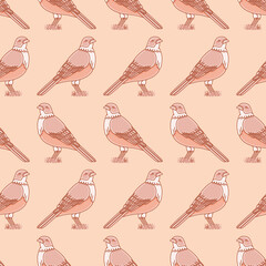 Kawaii songbird vector repeat pattern. Rufous bellied thrush seamless illustration background.