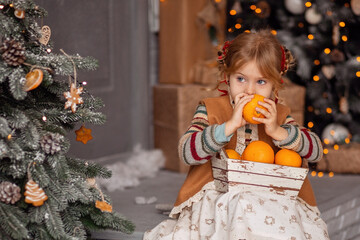 Happy little blonde girl in Scandinavian clothes, picking tangerines, preparing for a Festive Christmas and New year.