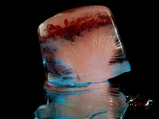 red flower beautifully frozen in ice in abstract macro photography