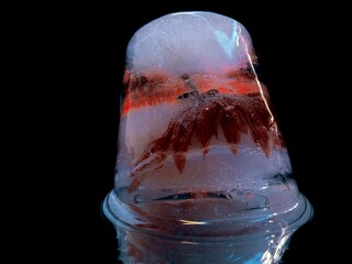 abstract photo of a red flower frozen in ice illuminated in the dark