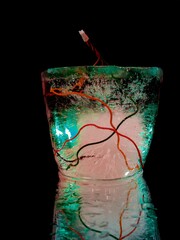 abstract photograph of writhing wires frozen in ice