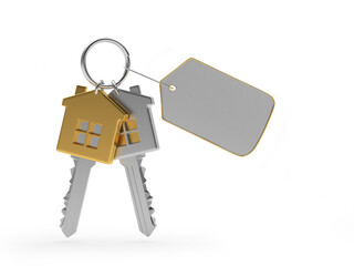 Set of gold and silver house-shaped keys with blank label isolated on white. 3D illustration