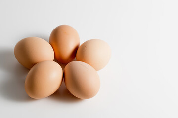Five brown organic fresh raw eggs. Cut out and isolated on white background with soft shadows for added dimension.