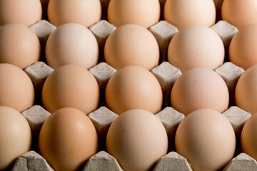 High angle view eggs in cardboard packaging