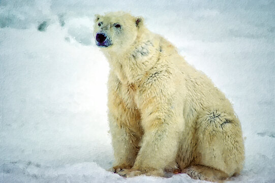 Large male polar bear,digital oil painting