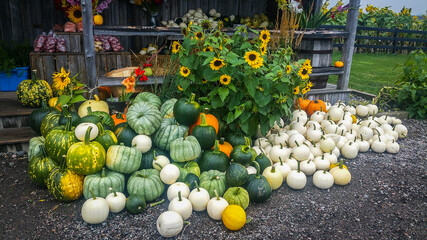 Pile of pumpkins and flowers at the entrance of a fruit, vegetable and a flower store