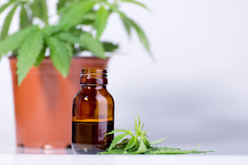 Medical, chemical theme background with cannabis leaves, oil bottle and laboratory glass flasks behind on a white.