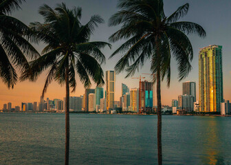 beach at sunrise view miami skyline palms tropical tree buildings beautiful 